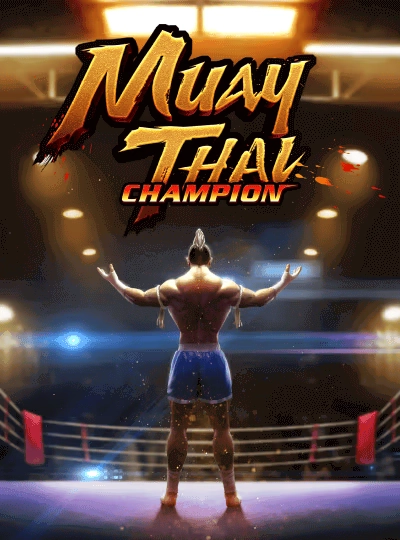 mmr1144